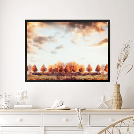 Obraz w ramie Piękna jesień - panorama z drzewami, polem i niebem