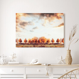 Obraz na płótnie Piękna jesień - panorama z drzewami, polem i niebem
