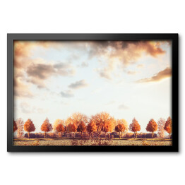 Obraz w ramie Piękna jesień - panorama z drzewami, polem i niebem