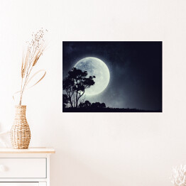 Plakat samoprzylepny Zarys drzewa na tle pełni Księżyca