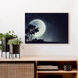 Obraz na płótnie Zarys drzewa na tle pełni Księżyca