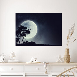 Plakat Zarys drzewa na tle pełni Księżyca