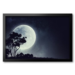 Obraz w ramie Zarys drzewa na tle pełni Księżyca