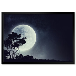 Plakat w ramie Zarys drzewa na tle pełni Księżyca