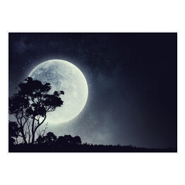 Zarys drzewa na tle pełni Księżyca