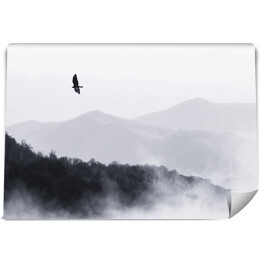 Fototapeta ptak lecący nad zamglonymi wzgórzami, monochromatyczny krajobraz przyrodniczy
