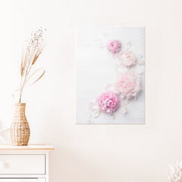 Plakat samoprzylepny Piękny kwiat różowej piwonii