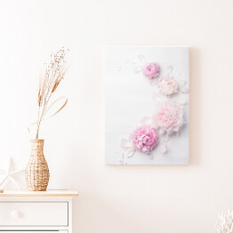 Obraz na płótnie Piękny kwiat różowej piwonii