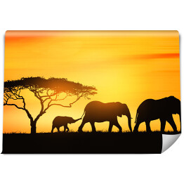 Rodzina słoni podczas zachodu słońca