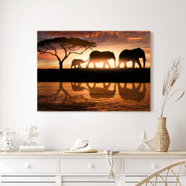 Obraz na płótnie Rodzina słoni