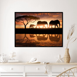 Plakat w ramie Rodzina słoni