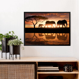 Obraz w ramie Rodzina słoni