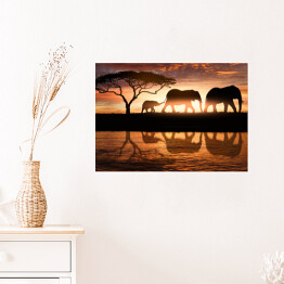 Plakat samoprzylepny Rodzina słoni