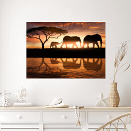 Plakat Rodzina słoni