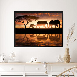 Obraz w ramie Rodzina słoni
