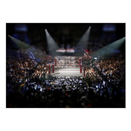 Plakat Pusty ring bokserski otoczony widzami
