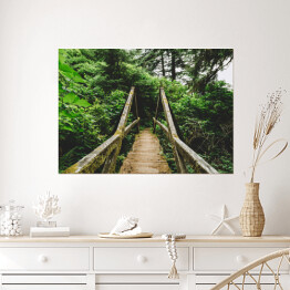 Plakat samoprzylepny Most w lesie w Północnej Kaliforni