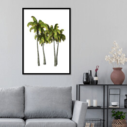 Plakat w ramie Drzewka palmowe - akwarela na białym tle