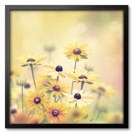 Obraz w ramie Żółte polne kwiaty na jasnym tle