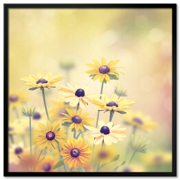 Plakat w ramie Żółte polne kwiaty na jasnym tle