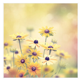 Plakat samoprzylepny Żółte polne kwiaty na jasnym tle