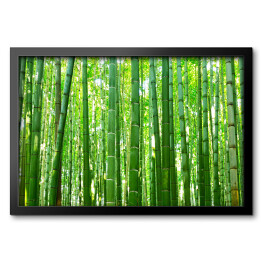 Obraz w ramie Bambusowy las Arashiyama blisko Kyoto