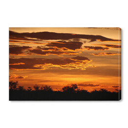 Obraz na płótnie Afrykański zachód słońca, Tanzania