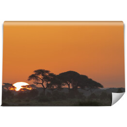 Fototapeta winylowa zmywalna Krajobraz Parku Narodowego Amboseli, Kenia