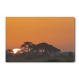 Obraz na płótnie Krajobraz Parku Narodowego Amboseli, Kenia