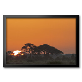 Obraz w ramie Krajobraz Parku Narodowego Amboseli, Kenia