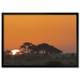 Plakat w ramie Krajobraz Parku Narodowego Amboseli, Kenia