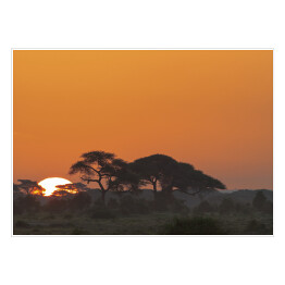 Plakat samoprzylepny Krajobraz Parku Narodowego Amboseli, Kenia
