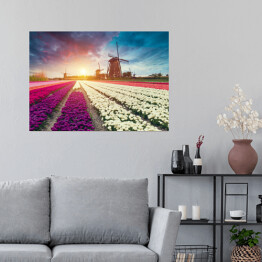 Plakat samoprzylepny Słońce za holenderskim wiatrakiem