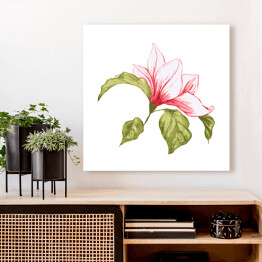 Obraz na płótnie Pojedynczy kwiat magnolii - akwarela