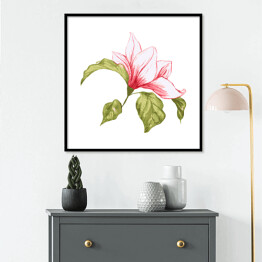 Plakat w ramie Pojedynczy kwiat magnolii - akwarela