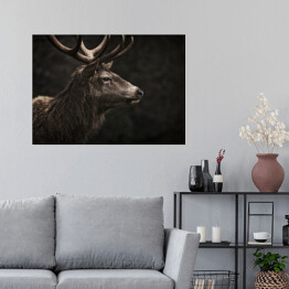 Plakat samoprzylepny Profil jelenia na ciemnym tle