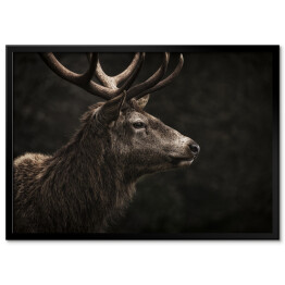 Plakat w ramie Profil jelenia na ciemnym tle