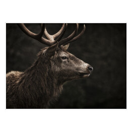 Plakat samoprzylepny Profil jelenia na ciemnym tle