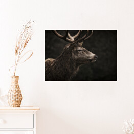 Plakat Profil jelenia na ciemnym tle