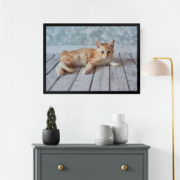 Obraz w ramie Mały rudo biały kotek leżący na jasnych drewnianych deskach
