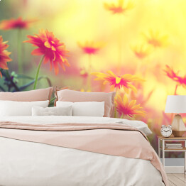Fototapeta winylowa zmywalna Polne kwiaty o zmierzchu