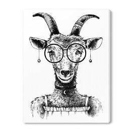 Obraz na płótnie Szkic - koza hipster w okularach