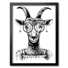 Obraz w ramie Szkic - koza hipster w okularach