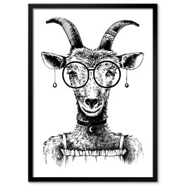 Plakat w ramie Szkic - koza hipster w okularach