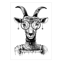 Plakat samoprzylepny Szkic - koza hipster w okularach