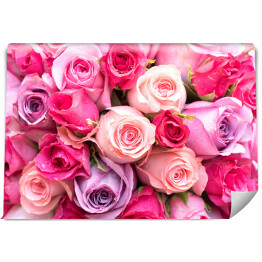 Fototapeta samoprzylepna Róże w intensywnych odcieniach różu i fioletu