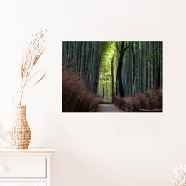 Plakat Ciemny las bambusowy, Kyoto, Japan
