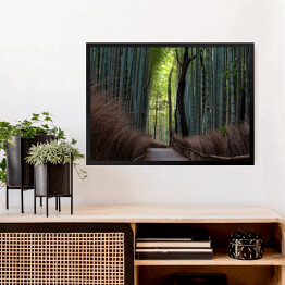 Obraz w ramie Ciemny las bambusowy, Kyoto, Japan