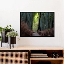 Plakat w ramie Ciemny las bambusowy, Kyoto, Japan