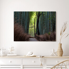 Obraz na płótnie Ciemny las bambusowy, Kyoto, Japan